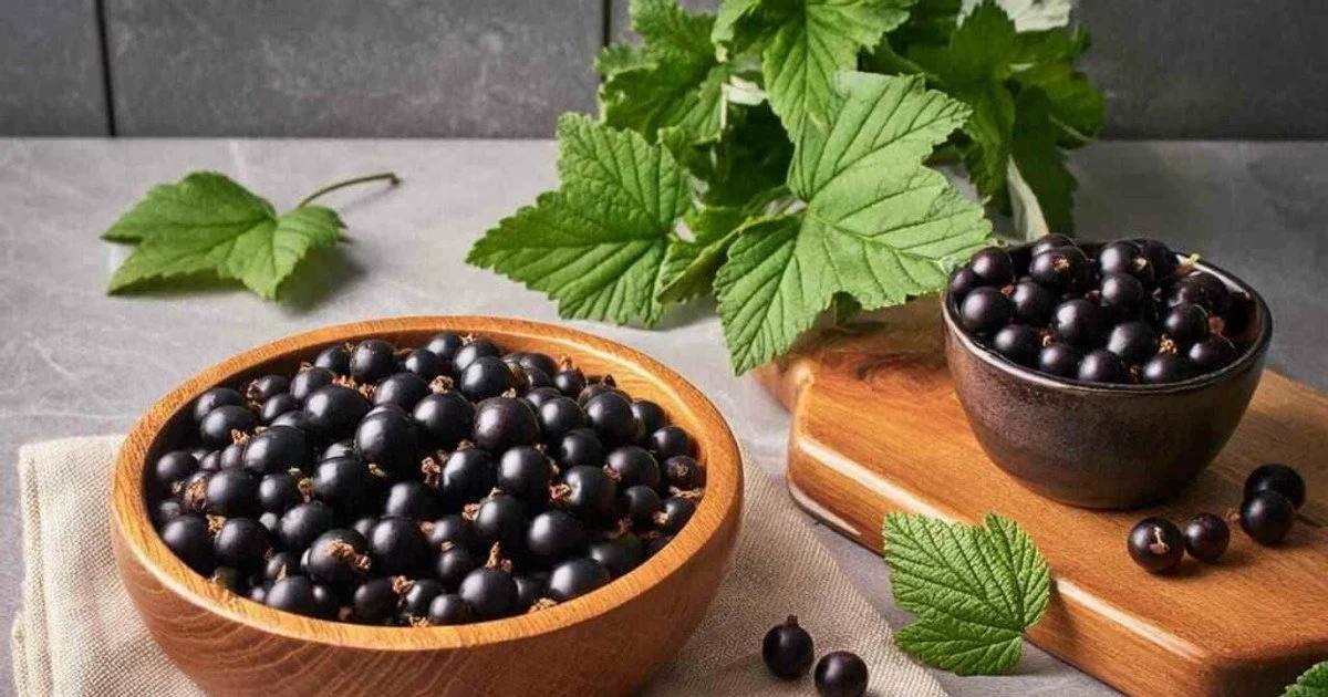 Ricinusovo ulje pomoći će kod problema s kožom